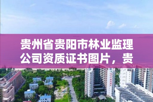 贵州省贵阳市林业监理公司资质证书图片,贵州省林业投资公司