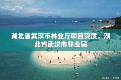 湖北省武汉市林业厅项目资质，湖北省武汉市林业局