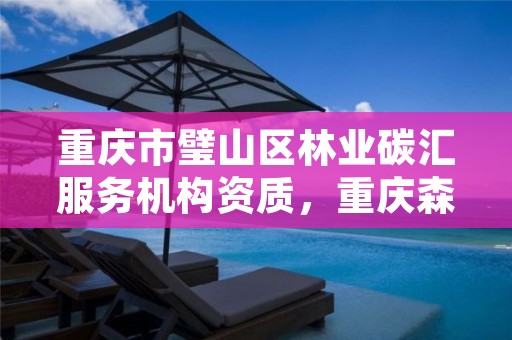 重庆市璧山区林业碳汇服务机构资质,重庆森林碳汇