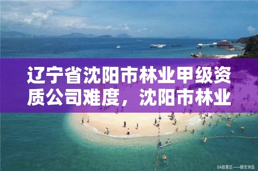 辽宁省沈阳市林业甲级资质公司难度，沈阳市林业建设保护条例