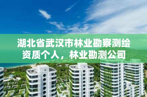 湖北省武汉市林业勘察测绘资质个人，林业勘测公司