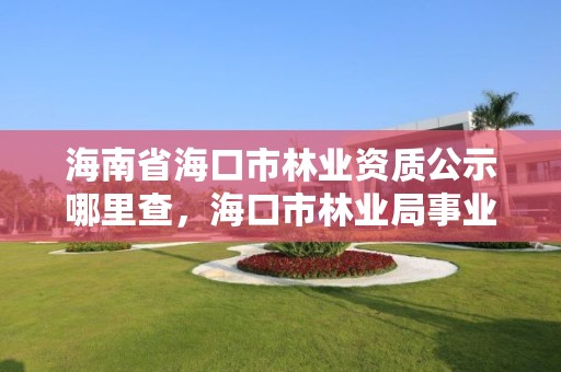 海南省海口市林业资质公示哪里查,海口市林业局事业单位招聘