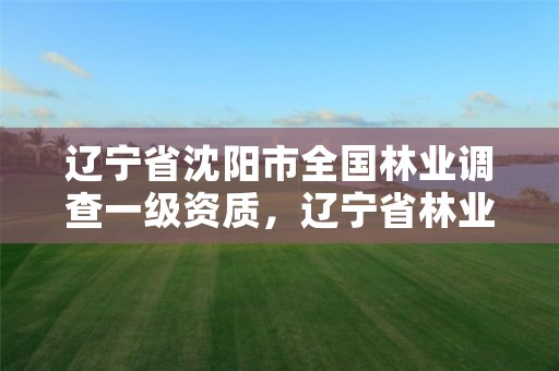 辽宁省沈阳市全国林业调查一级资质，辽宁省林业调查规划监测院