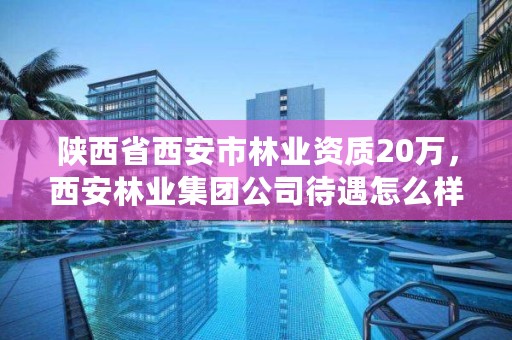 陕西省西安市林业资质20万,西安林业集团公司待遇怎么样