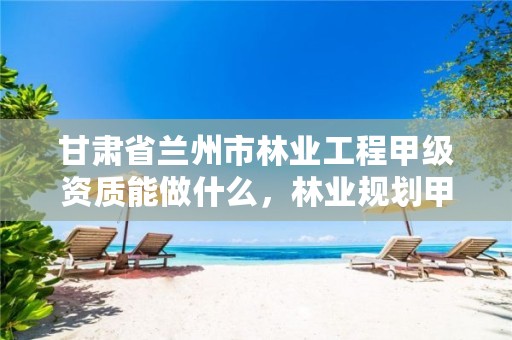 甘肃省兰州市林业工程甲级资质能做什么,林业规划甲级资质单位