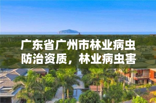 广东省广州市林业病虫防治资质,林业病虫害防治资质审批权限