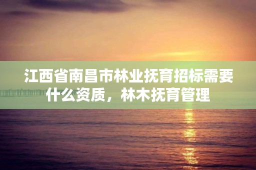 江西省南昌市林业抚育招标需要什么资质,林木抚育管理