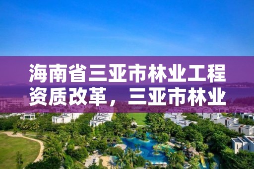 海南省三亚市林业工程资质改革，三亚市林业局公开招聘