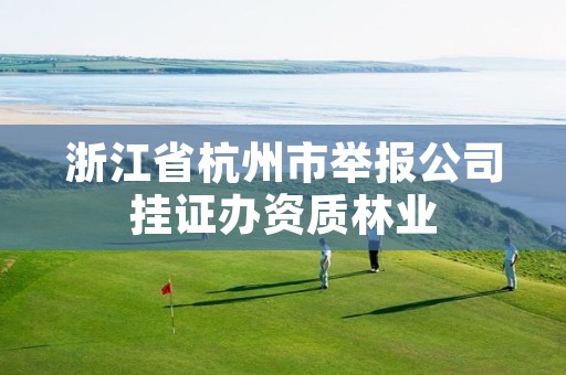 浙江省杭州市举报公司挂证办资质林业