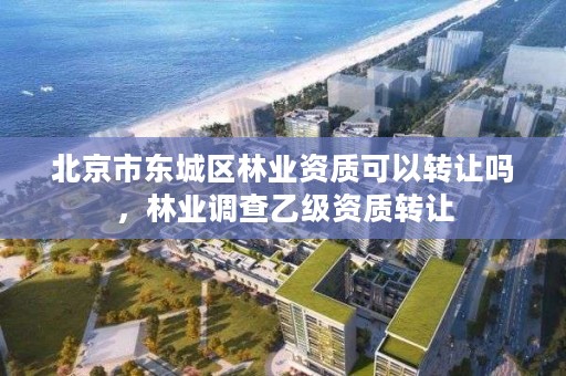 北京市东城区林业资质可以转让吗,林业调查乙级资质转让