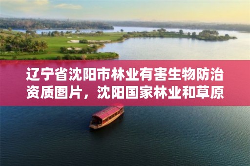 辽宁省沈阳市林业有害生物防治资质图片，沈阳国家林业和草原防治总站