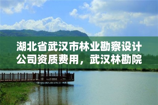湖北省武汉市林业勘察设计公司资质费用，武汉林勘院