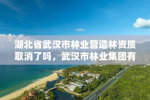 湖北省武汉市林业营造林资质取消了吗，武汉市林业集团有限公司