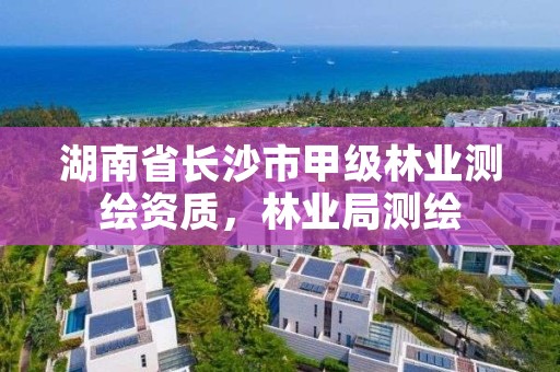 湖南省长沙市甲级林业测绘资质，林业局测绘