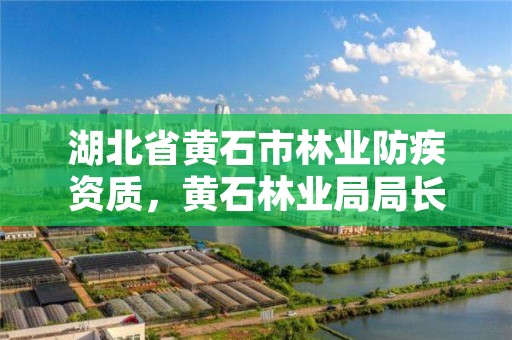 湖北省黄石市林业防疾资质，黄石林业局局长是谁