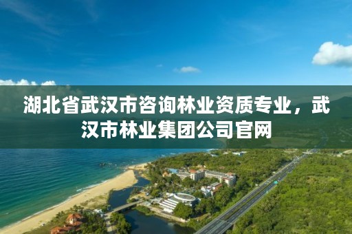 湖北省武汉市咨询林业资质专业，武汉市林业集团公司官网