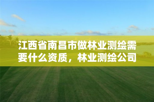 江西省南昌市做林业测绘需要什么资质,林业测绘公司