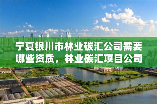 宁夏银川市林业碳汇公司需要哪些资质,林业碳汇项目公司