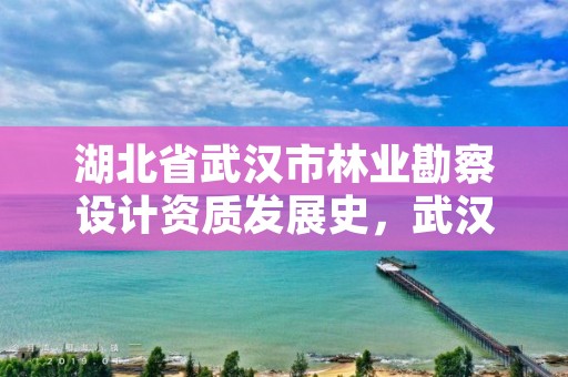 湖北省武汉市林业勘察设计资质发展史,武汉市林业调查规划设计院有限公司