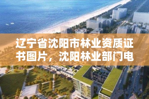 辽宁省沈阳市林业资质证书图片，沈阳林业部门电话