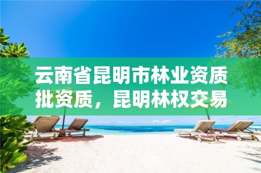 云南省昆明市林业资质批资质,昆明林权交易中心