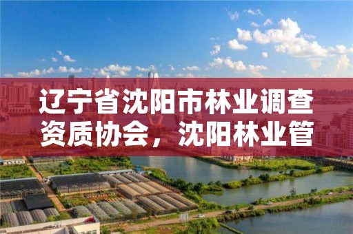 辽宁省沈阳市林业调查资质协会，沈阳林业管理所