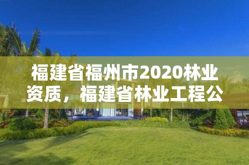 福建省福州市2020林业资质,福建省林业工程公司