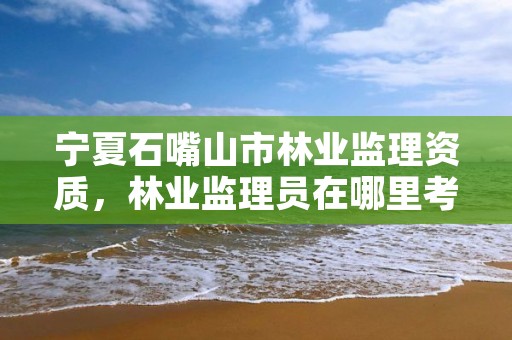 宁夏石嘴山市林业监理资质,林业监理员在哪里考