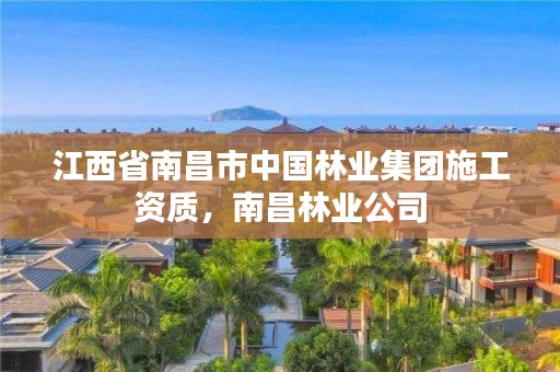 江西省南昌市中国林业集团施工资质,南昌林业公司