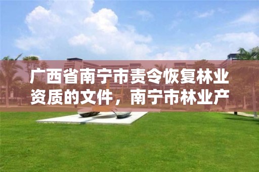 广西省南宁市责令恢复林业资质的文件,南宁市林业产业行业协会