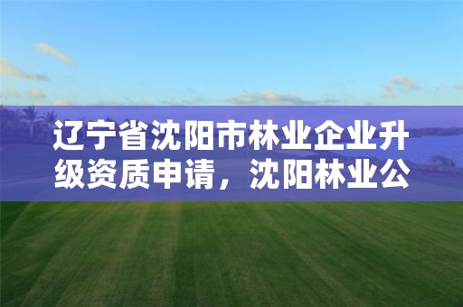 辽宁省沈阳市林业企业升级资质申请，沈阳林业公司