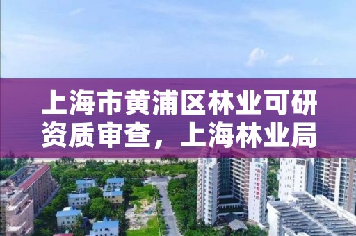 上海市黄浦区林业可研资质审查,上海林业局官网