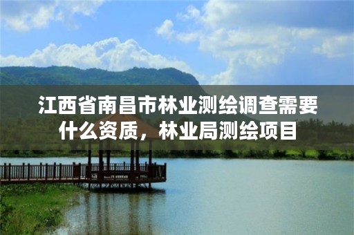 江西省南昌市林业测绘调查需要什么资质,林业局测绘项目