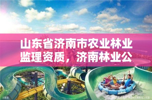 山东省济南市农业林业监理资质,济南林业公司
