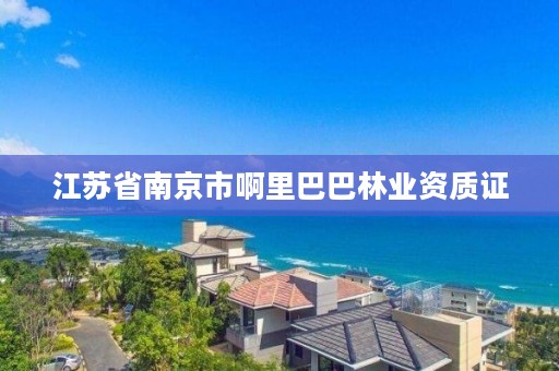 江苏省南京市啊里巴巴林业资质证