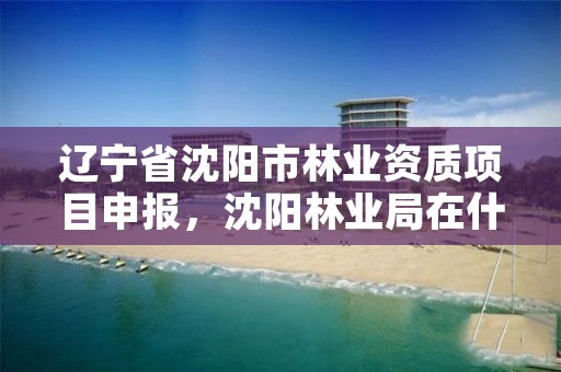 辽宁省沈阳市林业资质项目申报，沈阳林业局在什么地方