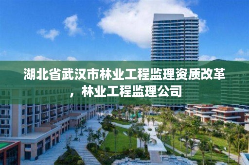 湖北省武汉市林业工程监理资质改革,林业工程监理公司