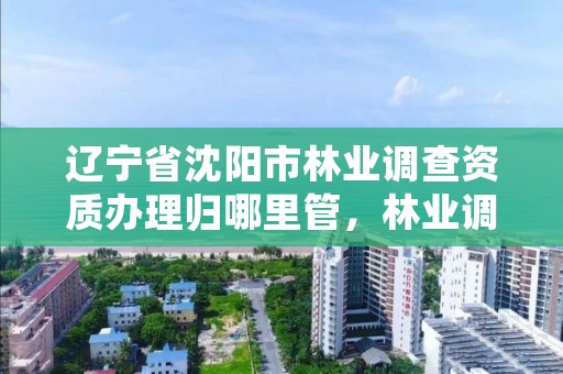 辽宁省沈阳市林业调查资质办理归哪里管,林业调查工作怎么样