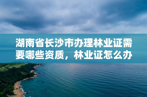 湖南省长沙市办理林业证需要哪些资质，林业证怎么办?好办吗?