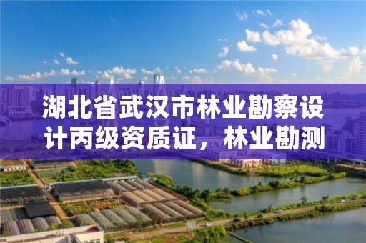 湖北省武汉市林业勘察设计丙级资质证,林业勘测设计资质