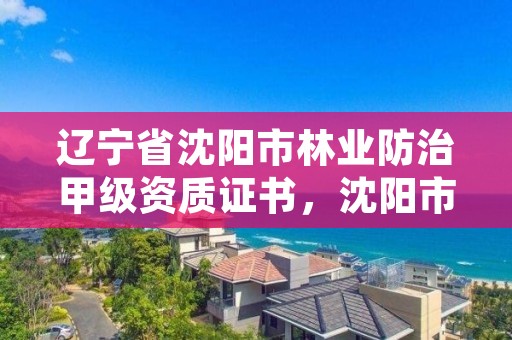 辽宁省沈阳市林业防治甲级资质证书，沈阳市林业建设保护条例