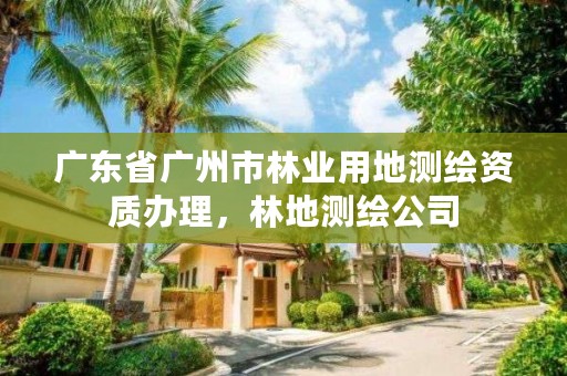 广东省广州市林业用地测绘资质办理,林地测绘公司