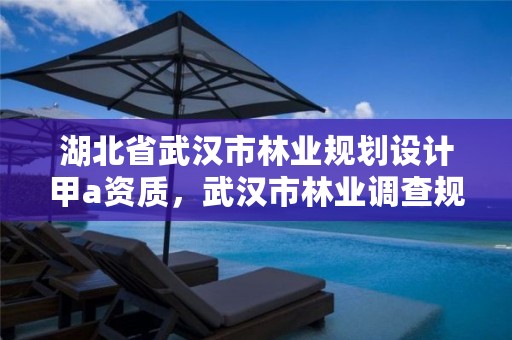 湖北省武汉市林业规划设计甲a资质,武汉市林业调查规划设计有限公司