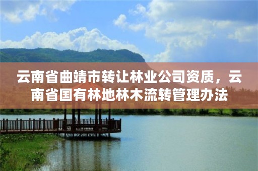 云南省曲靖市转让林业公司资质,云南省国有林地林木流转管理办法