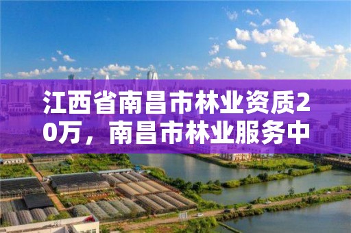 江西省南昌市林业资质20万,南昌市林业服务中心