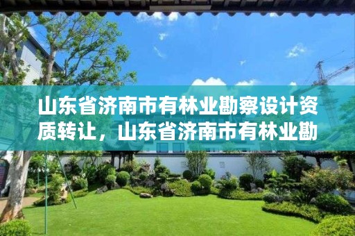 山东省济南市有林业勘察设计资质转让,山东省济南市有林业勘察设计资质转让公司吗