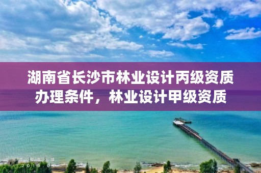 湖南省长沙市林业设计丙级资质办理条件，林业设计甲级资质