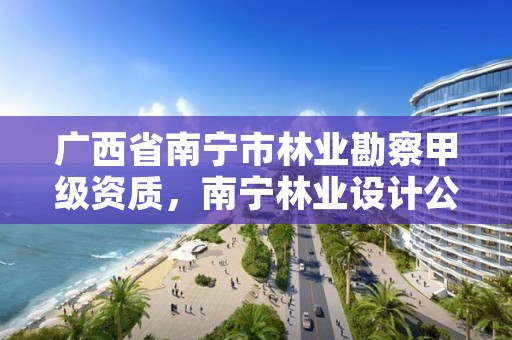 广西省南宁市林业勘察甲级资质,南宁林业设计公司