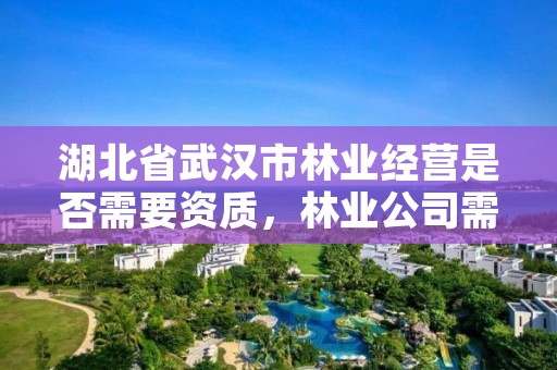 湖北省武汉市林业经营是否需要资质,林业公司需要什么资质