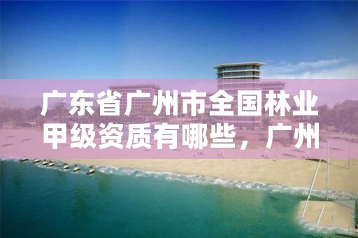 广东省广州市全国林业甲级资质有哪些,广州林业公司有哪些